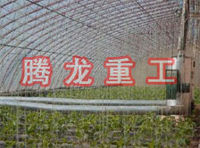大棚花卉供暖設(shè)備、大棚卉采暖設(shè)備、大棚花卉取暖設(shè)備
