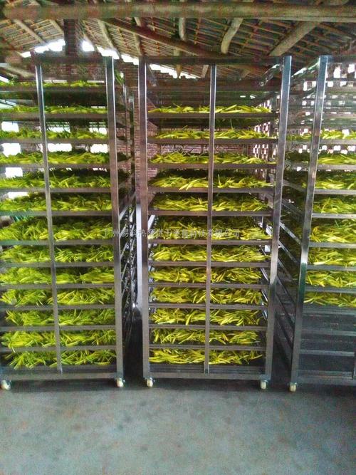 黃花菜烘干機(jī)、黃花菜烘干設(shè)備、黃花菜干燥機(jī)、黃花菜干燥設(shè)備、